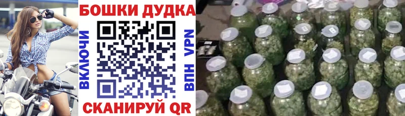 Где купить наркотики Малгобек Псилоцибиновые грибы  Мефедрон  Бошки Шишки  Cocaine  A-PVP 
