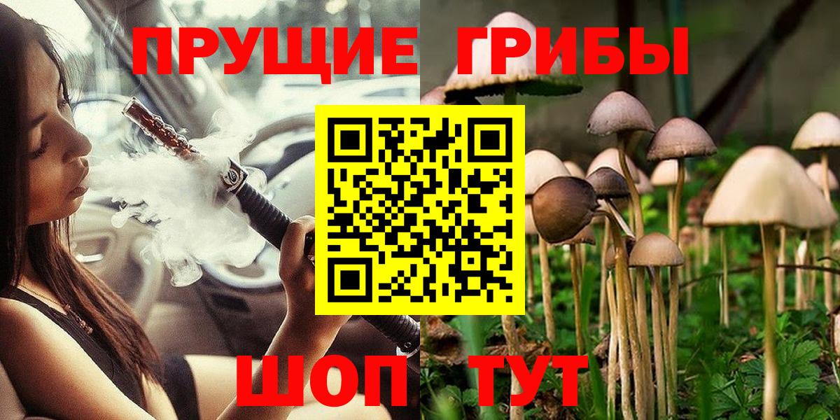 Малгобек  Псилоцибиновые грибы Psilocybe  сколько стоит  Вход с VPN  Галлюциногенные грибы Psilocybine cubensis 