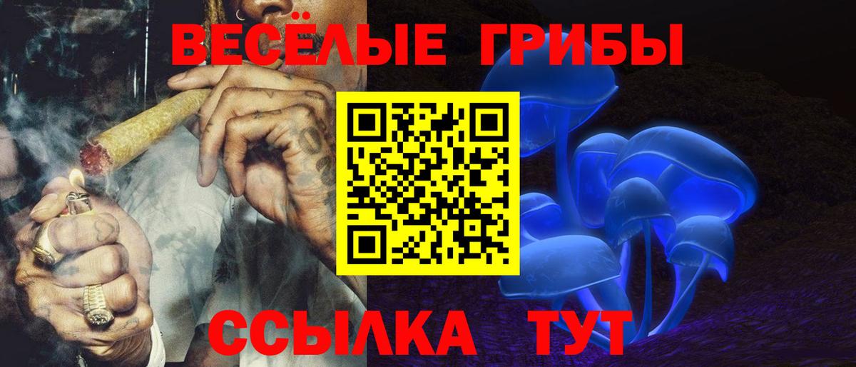 Галлюциногенные грибы мицелий Малгобек